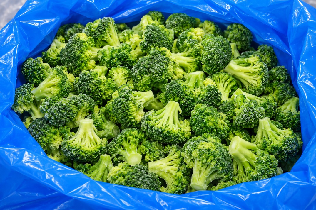KAMA FOODS frozen fruit and vegetable products from Egypt