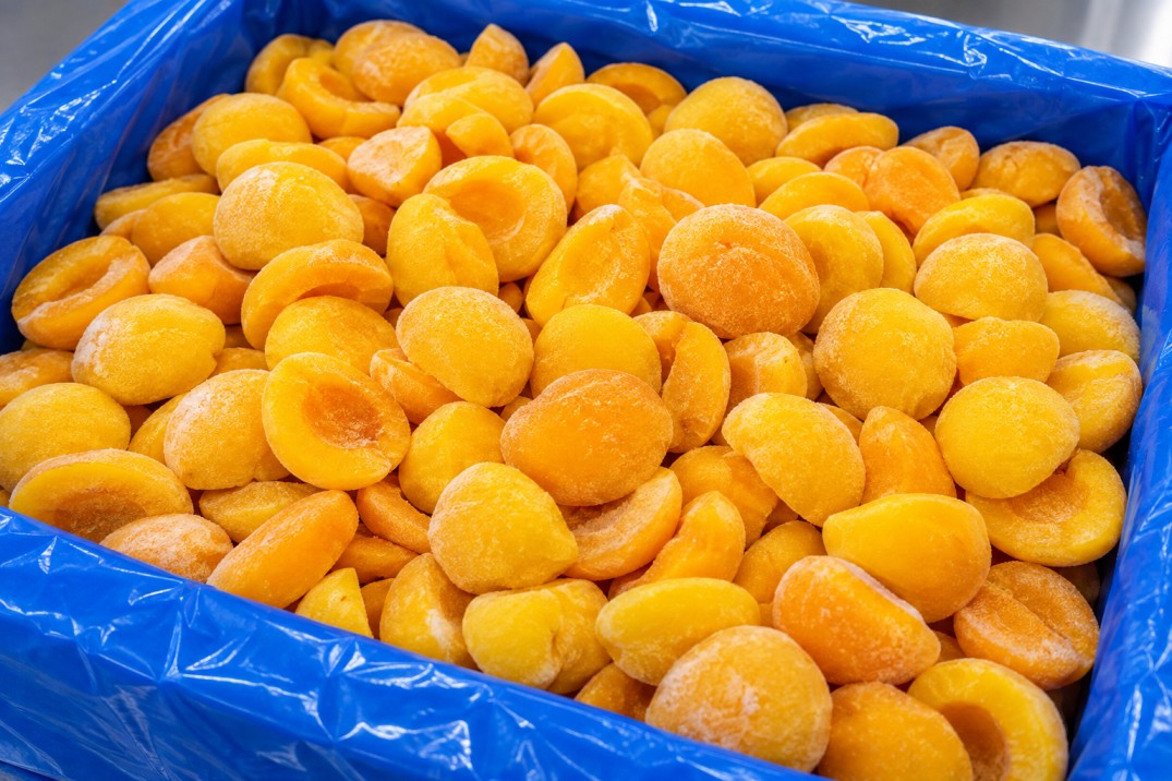 KAMA FOODS frozen food production facility