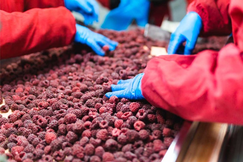 Food safety and hygiene practices for frozen food products